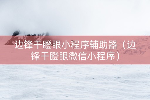 边锋干瞪眼小程序辅助器（边锋干瞪眼微信小程序）