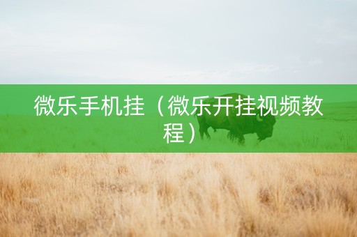微乐手机挂（微乐开挂视频教程）