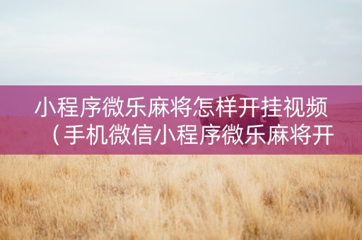 小程序微乐麻将怎样开挂视频（手机微信小程序微乐麻将开挂神器下载）