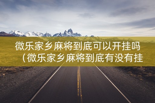 微乐家乡麻将到底可以开挂吗（微乐家乡麻将到底有没有挂）