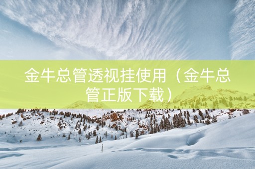 金牛总管透视挂使用（金牛总管正版下载）