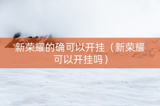 新荣耀的确可以开挂（新荣耀可以开挂吗）