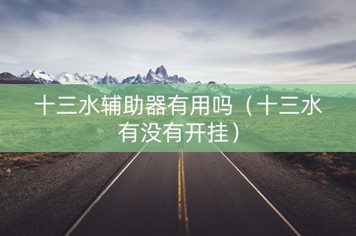 十三水辅助器有用吗（十三水有没有开挂）