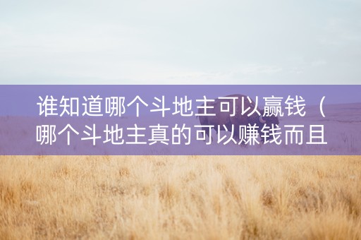 谁知道哪个斗地主可以赢钱（哪个斗地主真的可以赚钱而且很快）