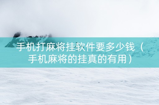 手机打麻将挂软件要多少钱（手机麻将的挂真的有用）
