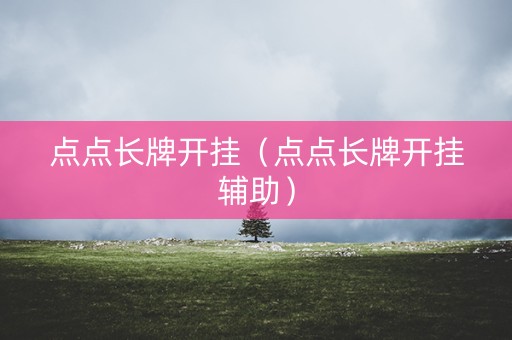 点点长牌开挂（点点长牌开挂辅助）