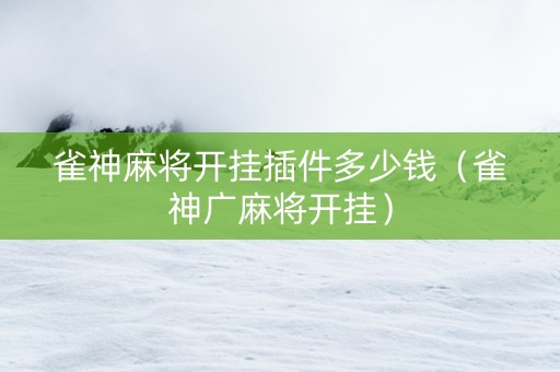 雀神麻将开挂插件多少钱（雀神广麻将开挂）