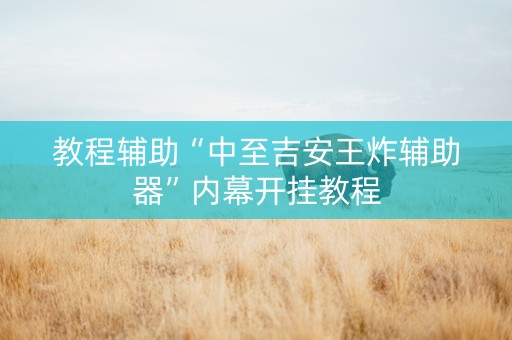 教程辅助“中至吉安王炸辅助器”内幕开挂教程