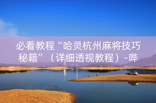 必看教程“哈灵杭州麻将技巧秘籍”（详细透视教程）-哔哩哔哩