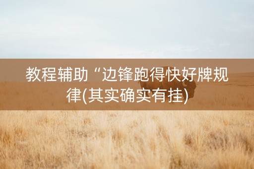 教程辅助“边锋跑得快好牌规律(其实确实有挂)