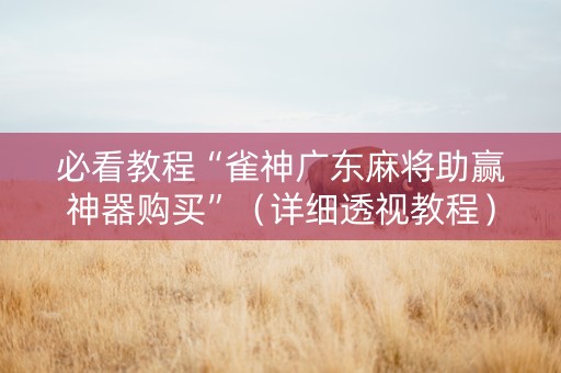 必看教程“雀神广东麻将助赢神器购买”（详细透视教程）-哔哩哔哩