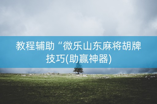 教程辅助“微乐山东麻将胡牌技巧(助赢神器)