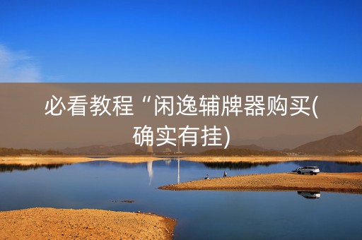 必看教程“闲逸辅牌器购买(确实有挂)