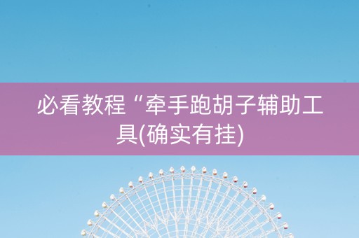 必看教程“牵手跑胡子辅助工具(确实有挂)
