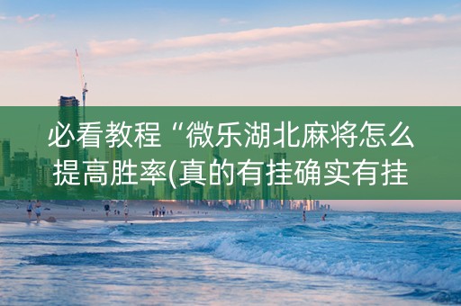 必看教程“微乐湖北麻将怎么提高胜率(真的有挂确实有挂)