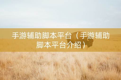 手游辅助脚本平台（手游辅助脚本平台介绍）