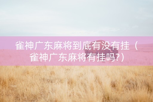 雀神广东麻将到底有没有挂（雀神广东麻将有挂吗?）