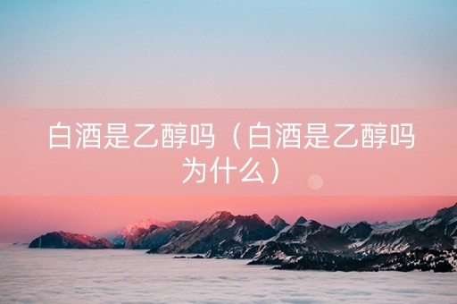 白酒是乙醇吗（白酒是乙醇吗为什么）