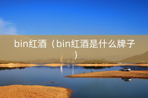 bin红酒（bin红酒是什么牌子）
