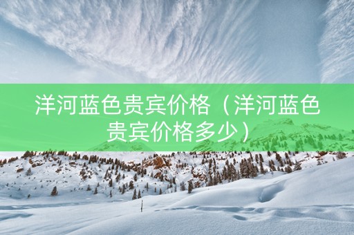 洋河蓝色贵宾价格（洋河蓝色贵宾价格多少）