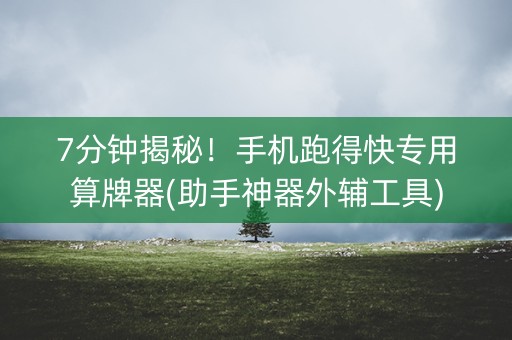 7分钟揭秘！手机跑得快专用算牌器(助手神器外辅工具)