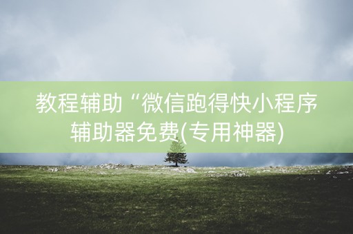 教程辅助“微信跑得快小程序辅助器免费(专用神器)