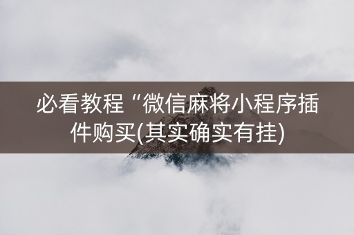 必看教程“微信麻将小程序插件购买(其实确实有挂)