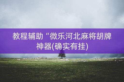 教程辅助“微乐河北麻将胡牌神器(确实有挂)