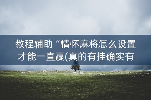 教程辅助“情怀麻将怎么设置才能一直赢(真的有挂确实有挂)