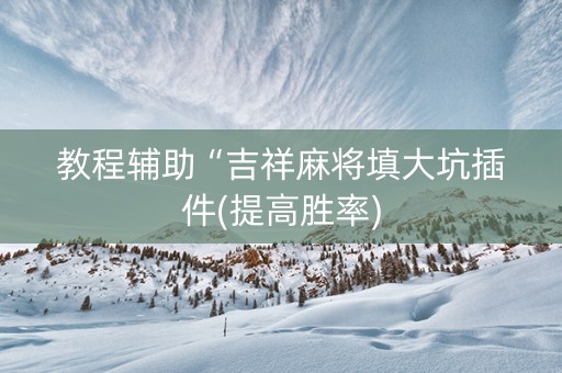教程辅助“吉祥麻将填大坑插件(提高胜率)