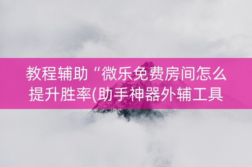 教程辅助“微乐免费房间怎么提升胜率(助手神器外辅工具)