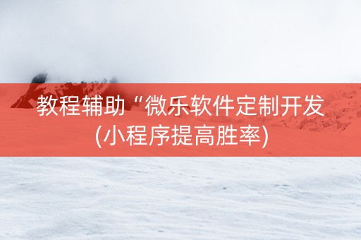 教程辅助“微乐软件定制开发(小程序提高胜率)