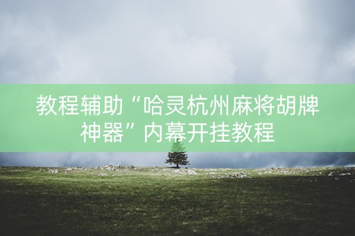 教程辅助“哈灵杭州麻将胡牌神器”内幕开挂教程