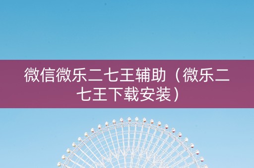 微信微乐二七王辅助（微乐二七王下载安装）
