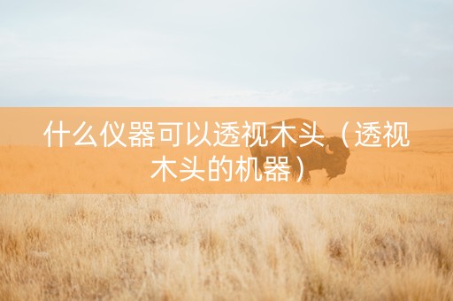 什么仪器可以透视木头（透视木头的机器）