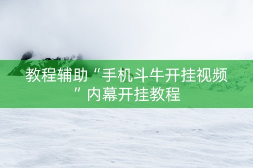 教程辅助“手机斗牛开挂视频”内幕开挂教程