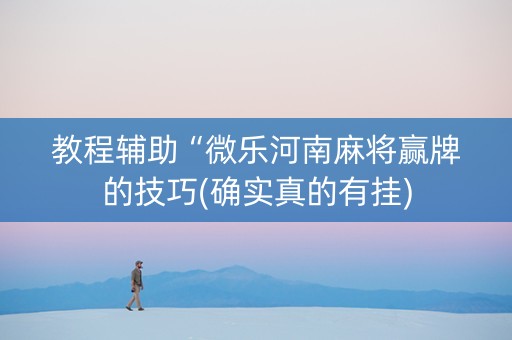 教程辅助“微乐河南麻将赢牌的技巧(确实真的有挂)