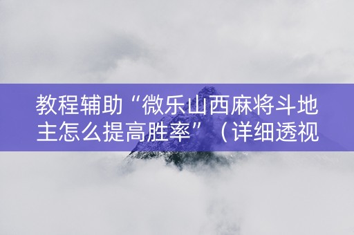 教程辅助“微乐山西麻将斗地主怎么提高胜率”（详细透视教程）-哔哩哔哩