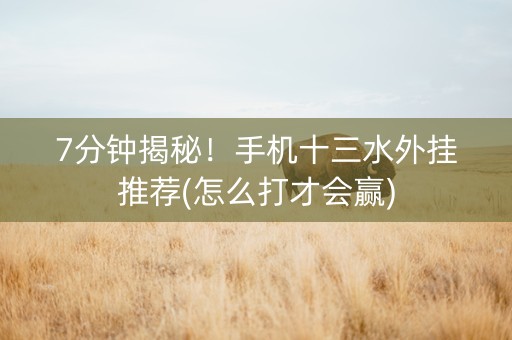 7分钟揭秘！手机十三水外挂推荐(怎么打才会赢)