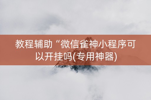 教程辅助“微信雀神小程序可以开挂吗(专用神器)