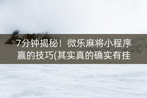 7分钟揭秘！微乐麻将小程序赢的技巧(其实真的确实有挂)