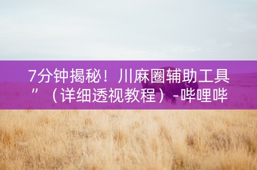 7分钟揭秘！川麻圈辅助工具”（详细透视教程）-哔哩哔哩