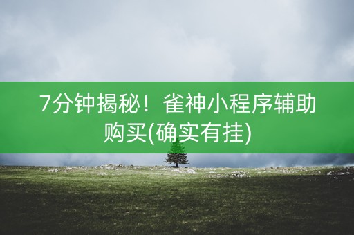 7分钟揭秘！雀神小程序辅助购买(确实有挂)