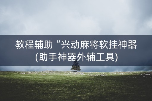 教程辅助“兴动麻将软挂神器(助手神器外辅工具)
