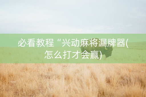 必看教程“兴动麻将漏牌器(怎么打才会赢)