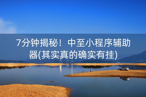 7分钟揭秘！中至小程序辅助器(其实真的确实有挂)