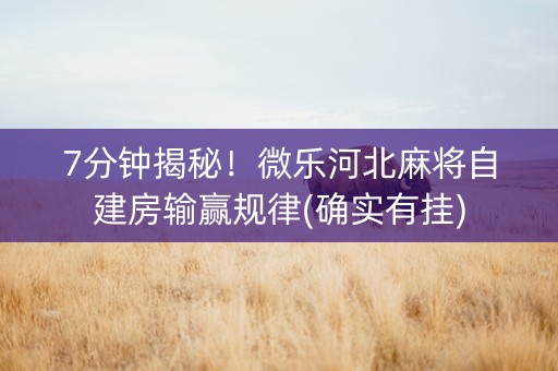 7分钟揭秘！微乐河北麻将自建房输赢规律(确实有挂)