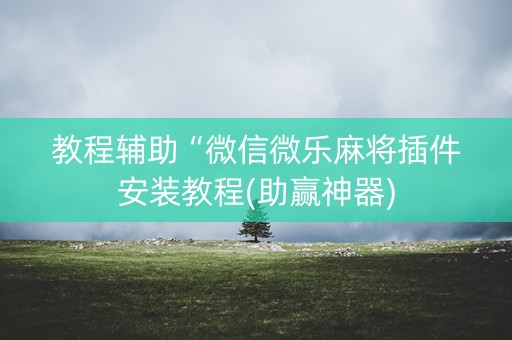 教程辅助“微信微乐麻将插件安装教程(助赢神器)