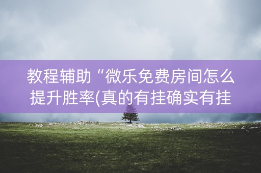 教程辅助“微乐免费房间怎么提升胜率(真的有挂确实有挂)
