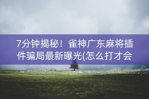 7分钟揭秘！雀神广东麻将插件骗局最新曝光(怎么打才会赢)